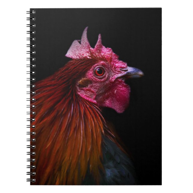 Cuaderno Granjas | Disparo de cabeza de gallo (Frente)