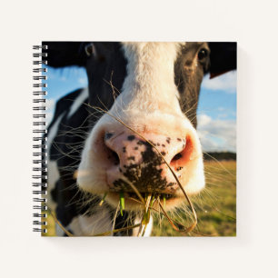Cuaderno Granjas   Mascado de vacas de Holstein