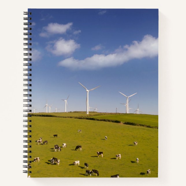 Cuaderno Granjas | Vacas Cercanas A La Granja De Molino De  (Anverso)