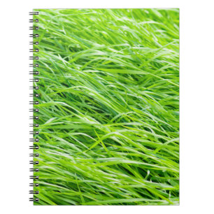 Cuaderno Grasa