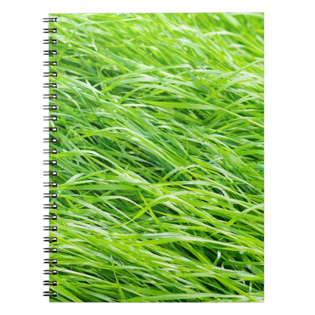 Cuaderno Grasa (Frente)