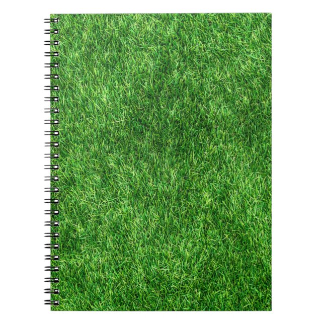 Cuaderno Grasa verde (Frente)