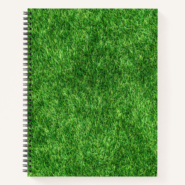 Cuaderno Grasa verde (Anverso)