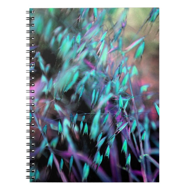 Cuaderno Grasas de acuarela (Frente)