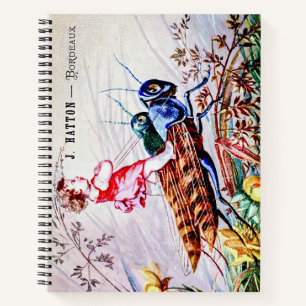 Cuaderno Grasshoppers para niños