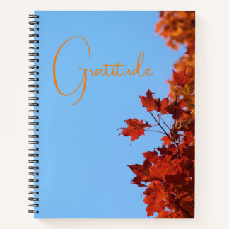 Cuaderno Gratitud: arce rojo deja fondo azul
