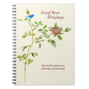 Cuaderno Gratitud de Rosa y burla