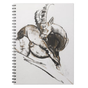 Cuaderno Grattarsi