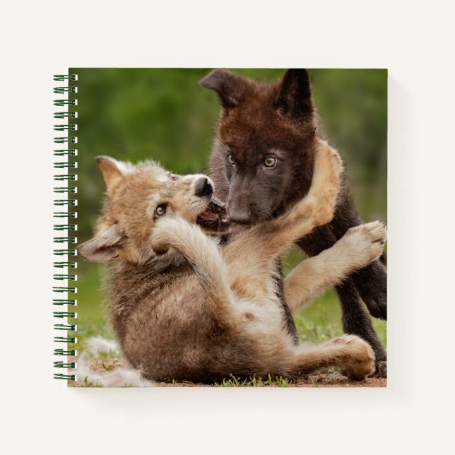 Cuaderno Gray Wolf Pups (Anverso)