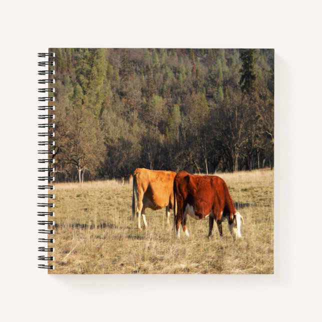 Cuaderno Grazin...... (Anverso)