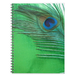 Cuaderno Green and White Peacock Feather Still Life
