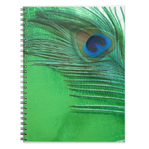 Cuaderno Green and White Peacock Feather Still Life