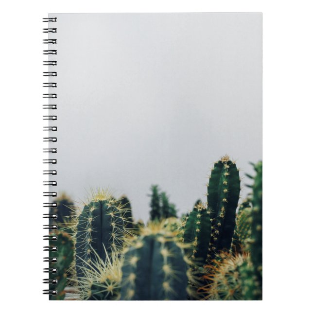 CUADERNO GREEN CACTI (Frente)