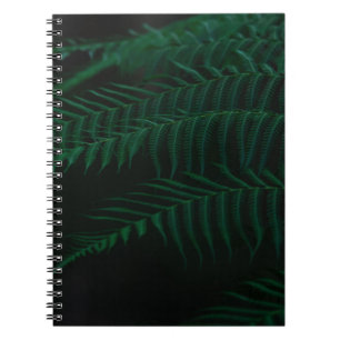 CUADERNO GREEN FERN PLANT IN CLOSE UP PHOTOGRAPHY