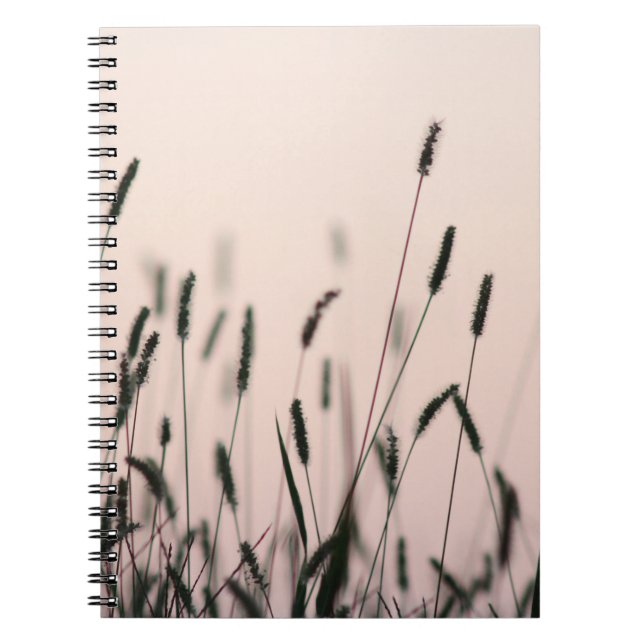CUADERNO GREEN GRASS (Frente)