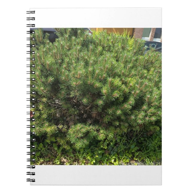 Cuaderno Green Pine Bush Nature Notebook (Frente)