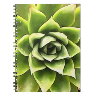 Cuaderno Green Succulent Close Up Cacti Art