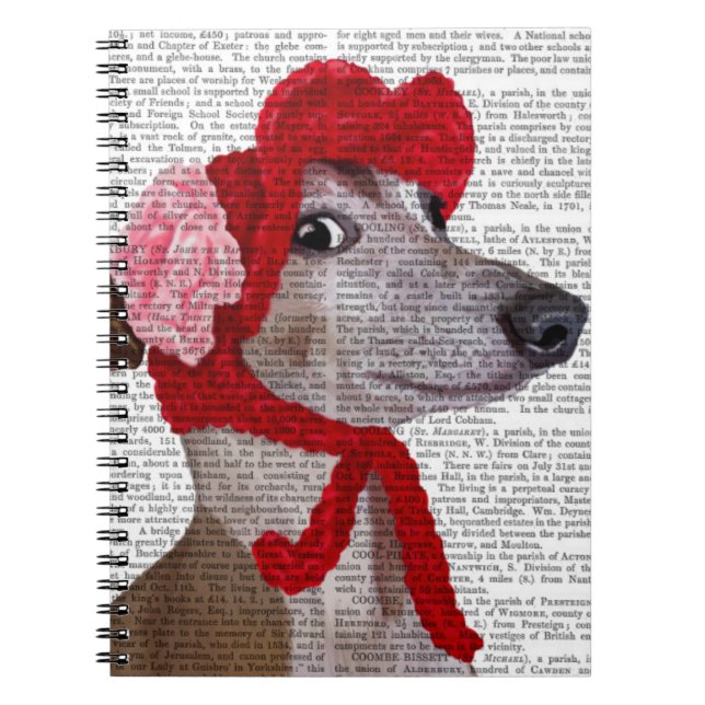 Cuaderno Greyhound con el Gorra Red Wooly 2 (Frente)