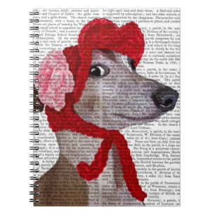 Cuaderno Greyhound con Gorra rojo Wooly 2
