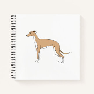 Cuaderno Greyhound italiano - Azul