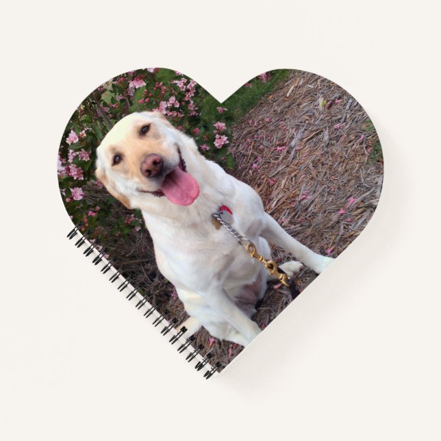 Cuaderno Grin (Anverso)