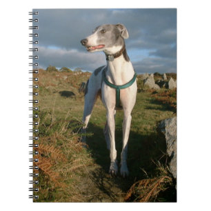 Cuaderno Gris azul y blanco
