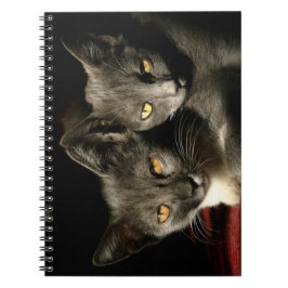 Cuaderno Gris Cats Photo Notebook (80 páginas B&W)