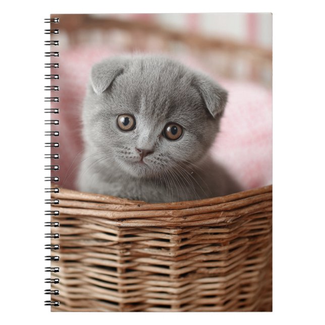 Cuaderno Gris Kitten en un bloc de notas de cesta (Frente)