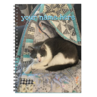 Cuaderno Gris y gato blanco