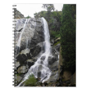 Cuaderno Grizzly Falls, Parque Nacional del Cañón del Rey,