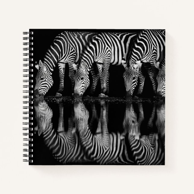 Cuaderno Group of Plains Zebra Drink Together at Night (Anverso)