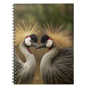 Cuaderno Grúa cruzada de gris