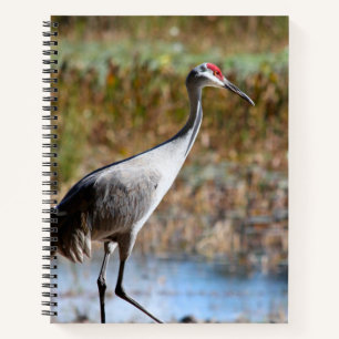 Cuaderno Grulla canadiense - caminando erguida