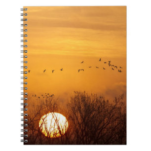 Cuaderno Grullas siluetadas contra el sol naciente