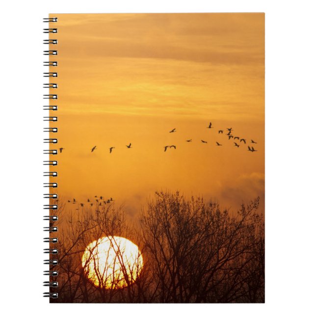 Cuaderno Grullas siluetadas contra el sol naciente (Frente)