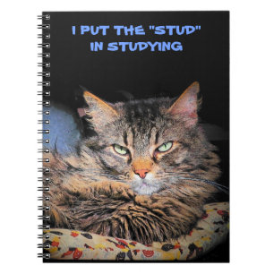 Cuaderno Grumpy Angel pone el Stud en el estudio