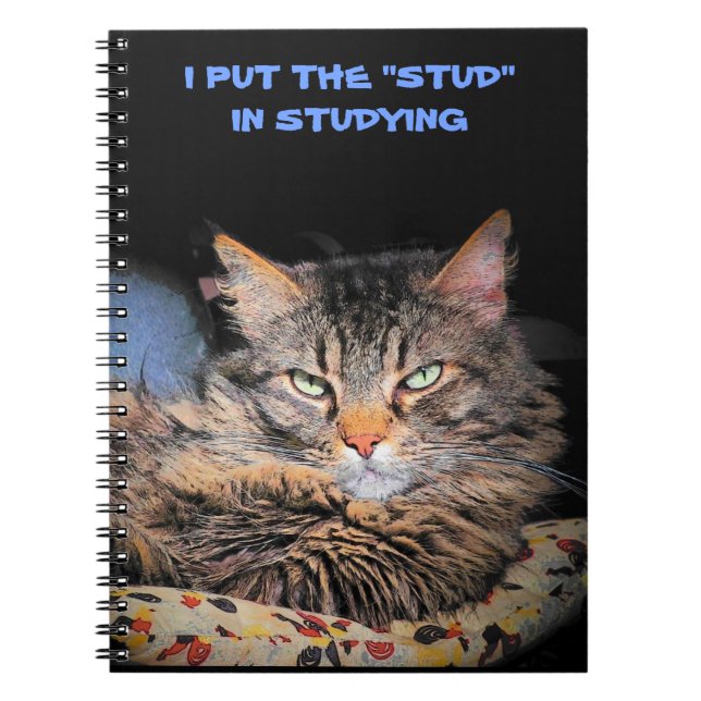Cuaderno Grumpy Angel pone el Stud en el estudio (Frente)