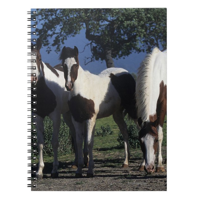 Cuaderno Grupo de caballos de la pintura (Frente)