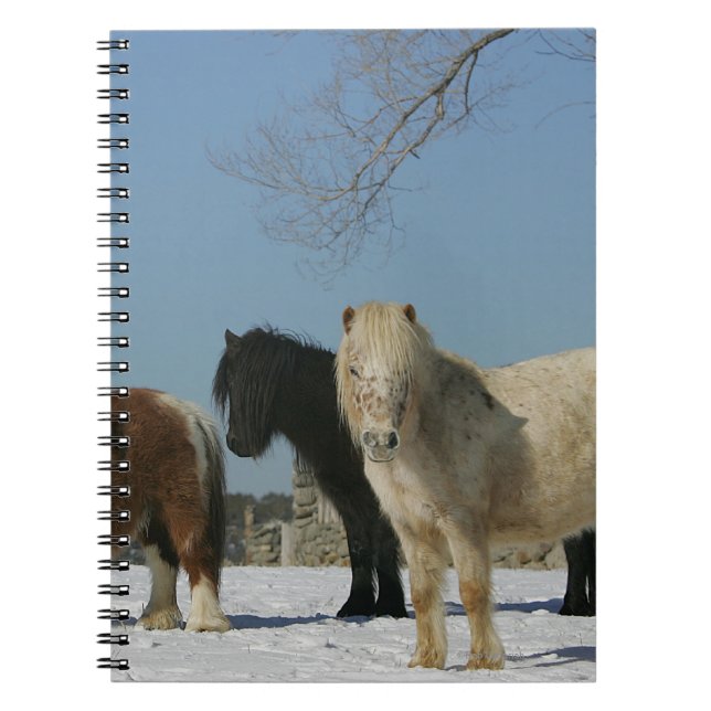 Cuaderno Grupo de caballos miniatura en la nieve (Frente)