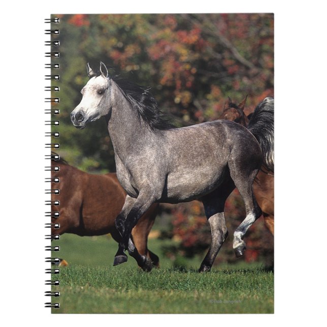 Cuaderno Grupo de funcionamiento árabe de los caballos (Frente)