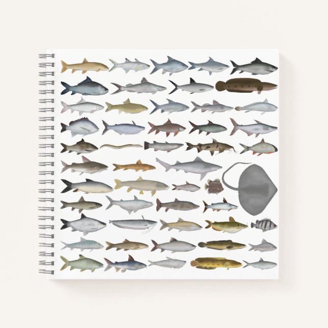 Cuaderno Grupo de peces de agua dulce del sur de Asia (Anverso)