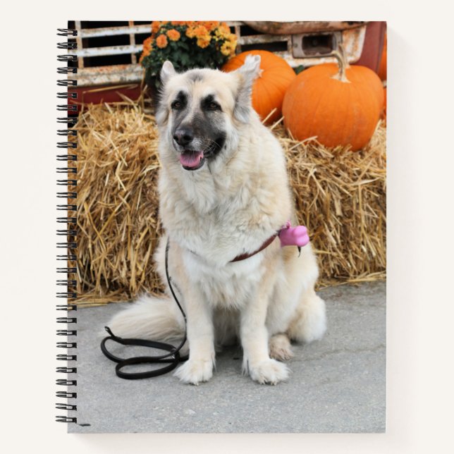 Cuaderno GSD de otoño (Anverso)