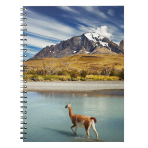 Cuaderno Guanaco que cruza el río en Torres del Paine