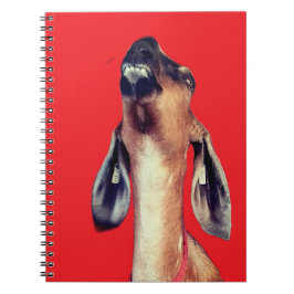 Cuaderno Guapo