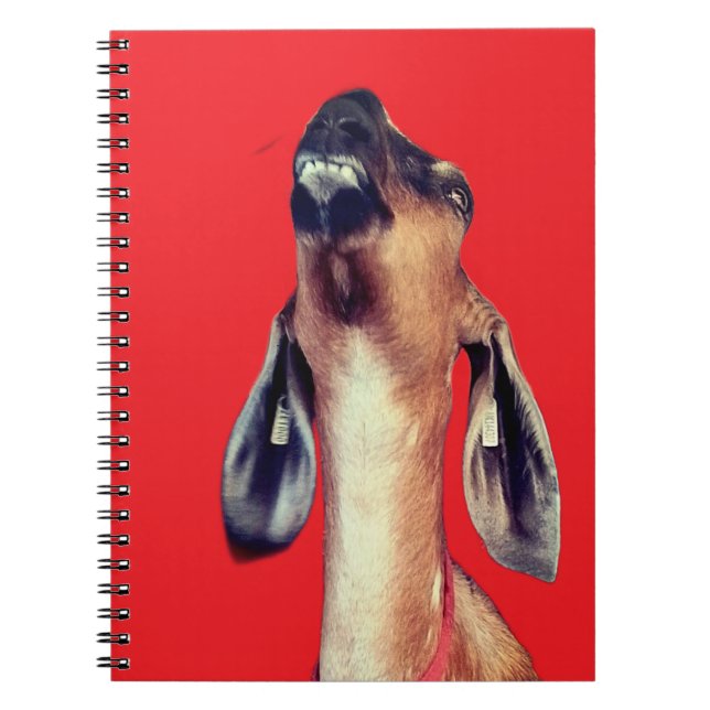 Cuaderno Guapo (Frente)