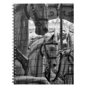 Cuaderno Guay, foto urbana, moderna de caballos del