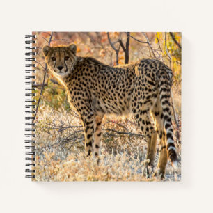 Cuaderno Guepardo Mirando Alrededor