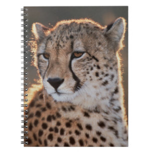 Cuaderno Guepardo mirando hacia otro lado