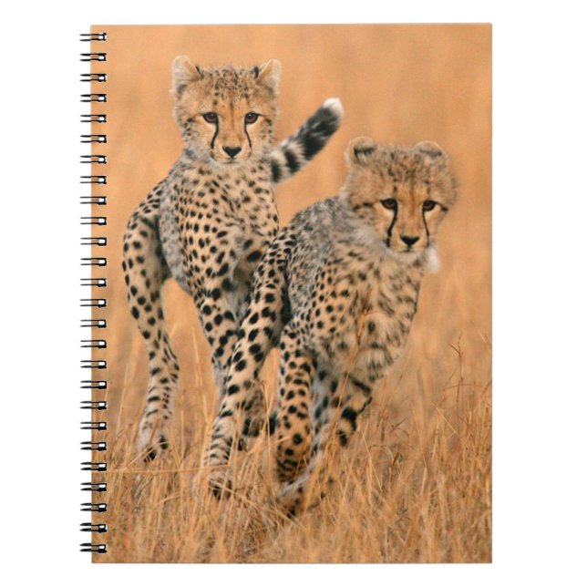 Cuaderno Guepardos jóvenes (Acinonyx Jubatus) corriendo (Frente)