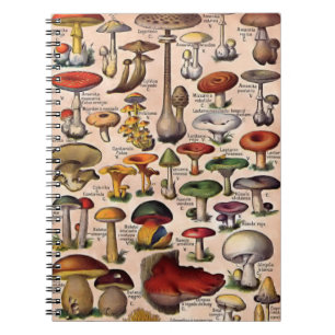 Cuaderno Guía de la seta del vintage